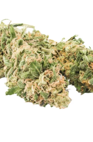 Pablo Escobar THCA Flower