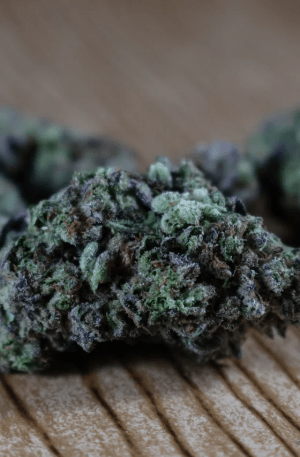 Lavender Cannabis Strain Online